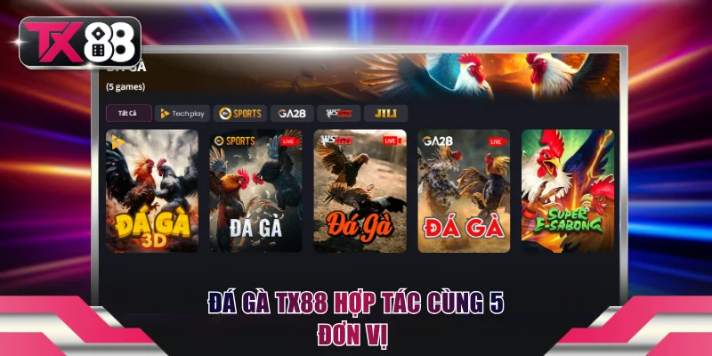 Đá Gà TX88 - Trực Tiếp Kê Trường, Dễ Dàng Theo Dõi Và Đặt Cược 1 Đá gà TX88 hợp tác cùng 5 đơn vị