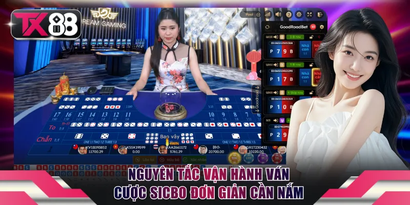 Sicbo TX88: Trải Nghiệm Sòng Bài Thượng Lưu Ngay Tại Nhà 3 Nguyên tắc vận hành ván cược Sicbo đơn giản cần nắm