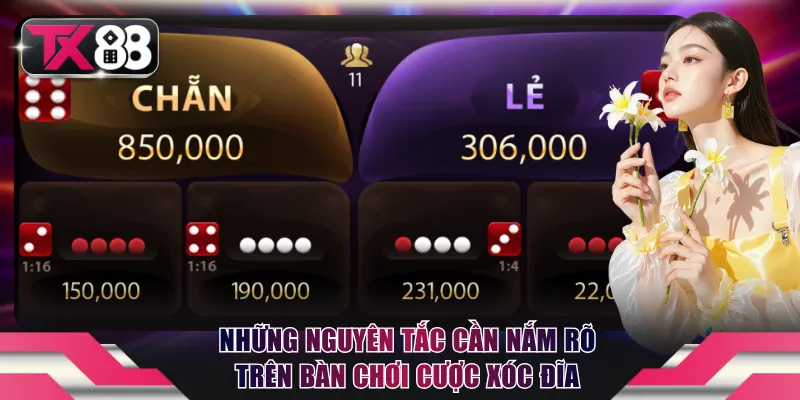 Xóc Đĩa Online TX88: Nắm Bắt Cơ Hội Làm Giàu Nhanh Chóng 3 Những nguyên tắc cần nắm rõ trên bàn chơi cược Xóc Đĩa